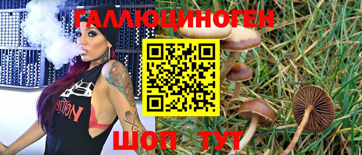 Псилоцибиновые грибы прущие грибы  Псилоцибиновые грибы Magic Shrooms  Ковров  Вход с VPN 